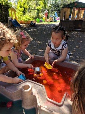 The Little Acorn Sprouts Toddler group had lots of fun and stayed cool playing in the water today!