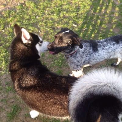 Dakota and Luna at the park