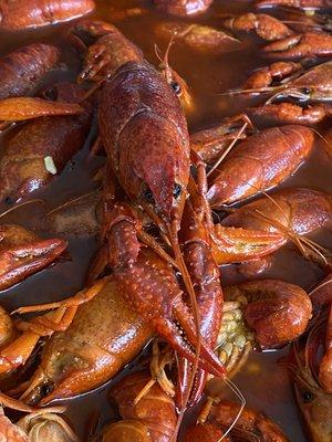 Crawfish boiling