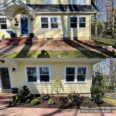 Before and after: spring cleanup , planting of trees and plants , mulch installation