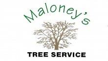 Maloney's Tree Service