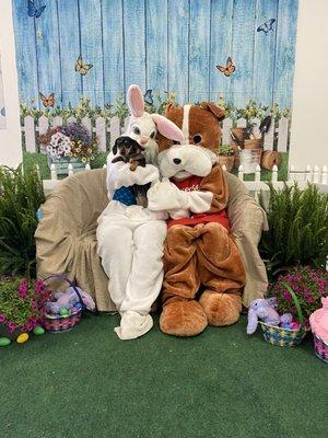 Visited the Easter bunny @ Petsense