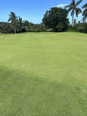 First hole green! Beautiful