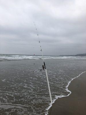 Surf-fishing on Mission Beach (catch & release).