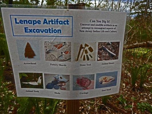 Lenni Lenape Artifacts