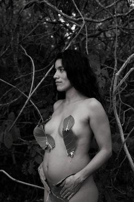 Concept Maternity Shoot