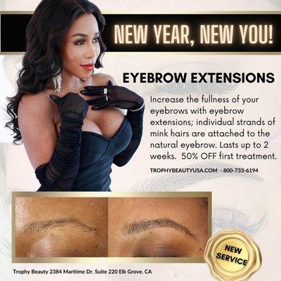 Eyebrow Extensions