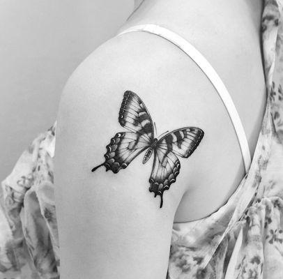 butterfly