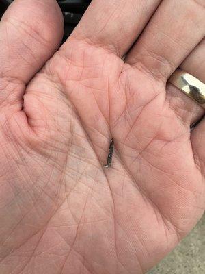 Nail they removed from our tire