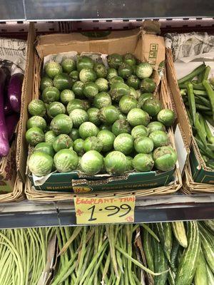 Thai eggplant