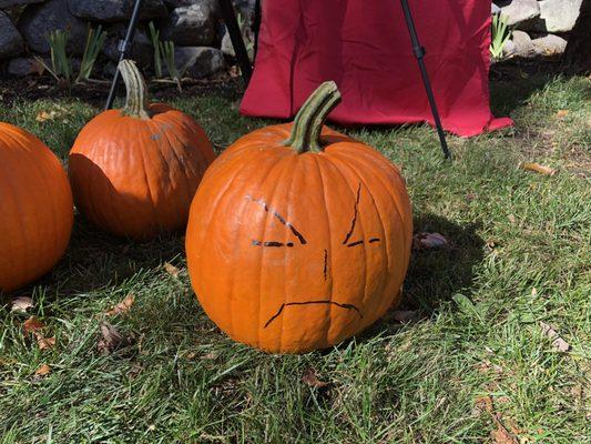 2019 Pumpkin Slicing Festival 4