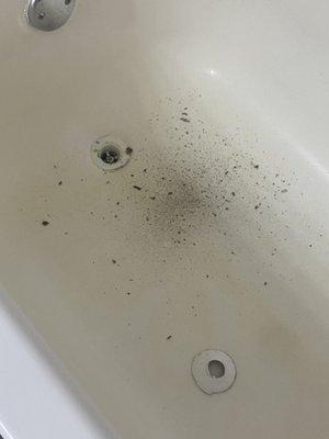 Debris left in my tub by maintenance, after they were to fix my A.C.