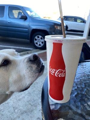 Malted Shake