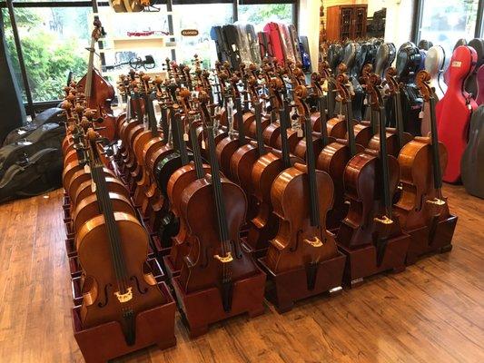 How about a new cello?...or 50?