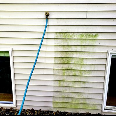 Siding cleaning