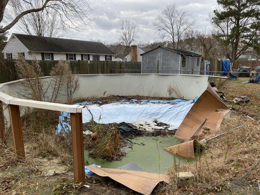 Demo of shed and pool and also had to back fill deep end of pool