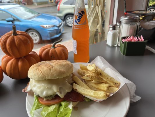 Cheeseburger & Handcut Fries