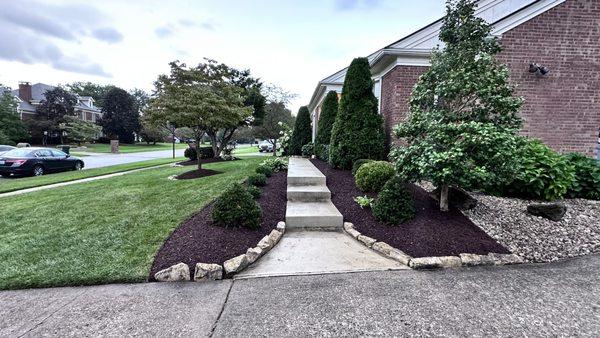 Mulching + New Bushes