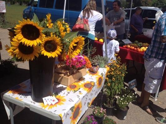 Beautiful flowers and perennials available at the Corrales Growers Market on Sunday's!