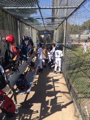 Melee in the dugout...