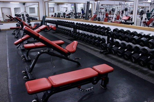 New free weight benches with dumbbells with weights from 5lbs - 150lbs.