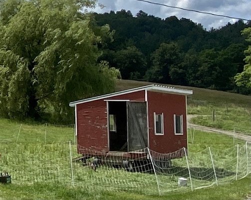 7/21 sheltered pasture raised hens for eggs