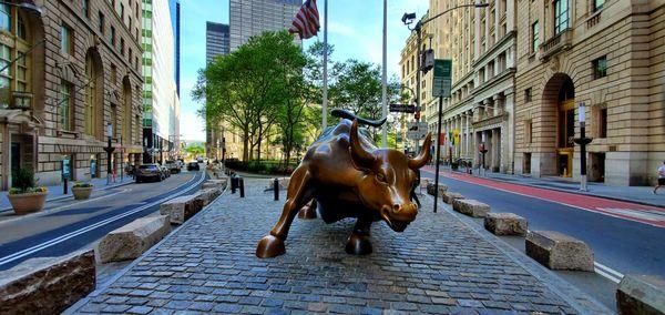 Charging Bull