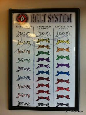 Belt system