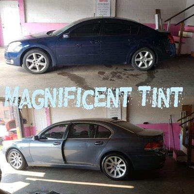 Magnificent Tint