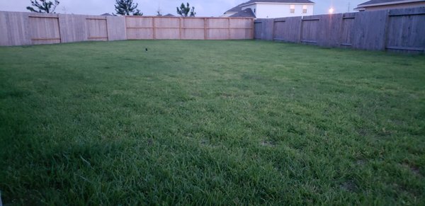 Very friendly and professional! I highly recommend Integrity Grass!  they get the work done...clean fast and friendly! Beautiful