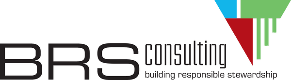 BRS Consulting Inc