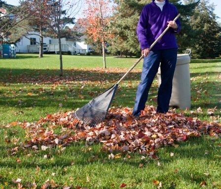 Greater Greens Landscaping