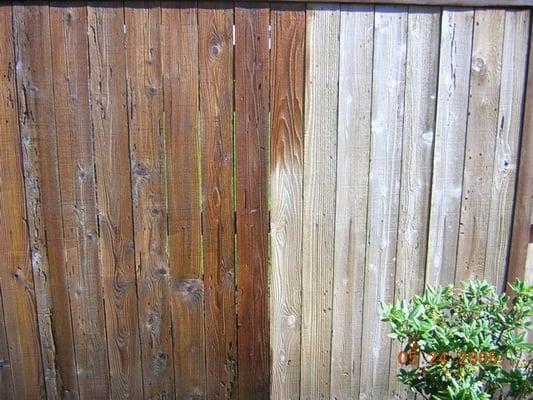 Fence being stained