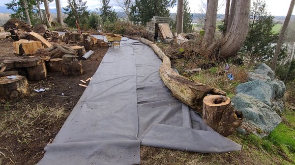 Installing woodchip pathway for a berry house