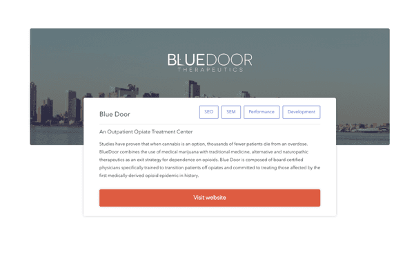 Blue Door Therapeutics - one of our client projects