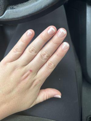 My other hand  Dip French tip manicure on natural nails