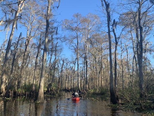 Wintertime in the swamp!