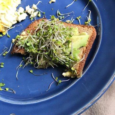 Our broccoli sprouts are the perfect topping for avocado toast