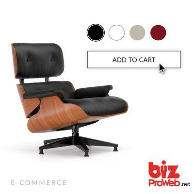 Includes Online Store with Stripe & Square Integration - bizProWeb