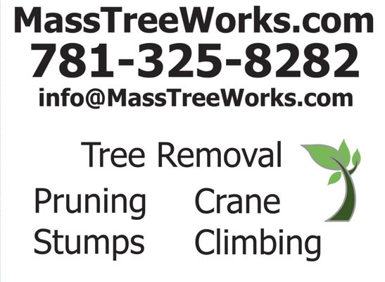 781-325-8282
info@MassTreeWorks.com