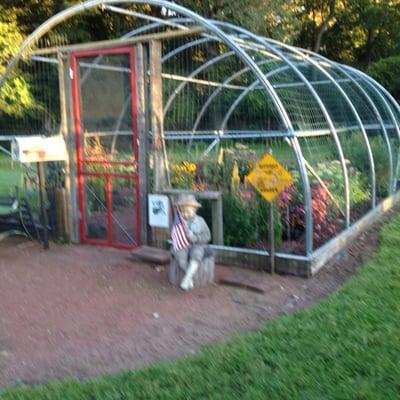 Butterfly House near Cabin Cove