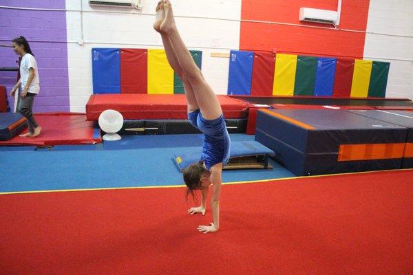 Single Day and Summer Gymnastics Camp programs from 3yrs of age (potty-trained) to 12yrs of age.