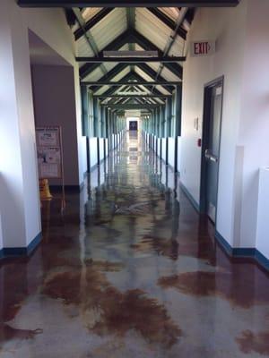 The campus is full of windows. These hallways are almost like being outside!