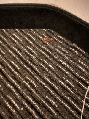 A DEAD ROACH!