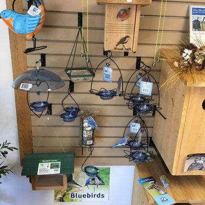 Bluebird Feeders