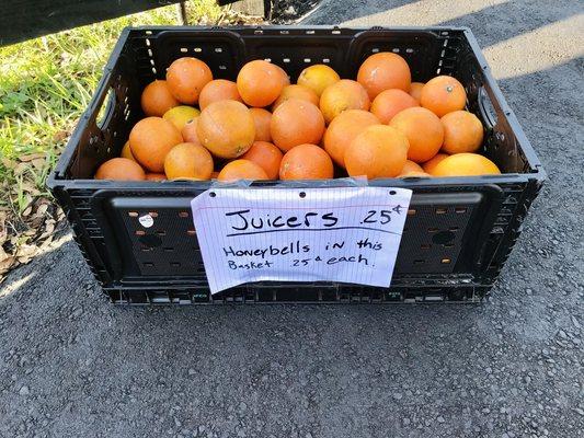 It's a great day for a glass of fresh orange juice. We have juicers available.