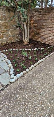 Plants and mulch