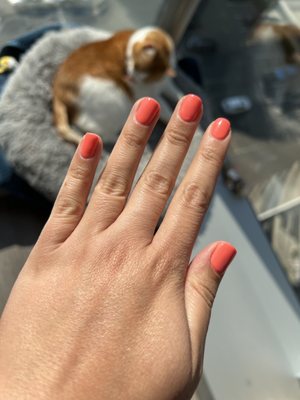 Gel mani!