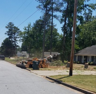 Tree Removal in Conyers, GA