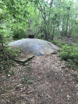 UFOs have landed in Cutler Park